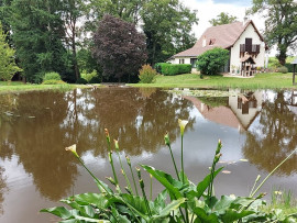 
                                                                                        Vente
                                                                                         Superbe maison avec son parc et son petit étang