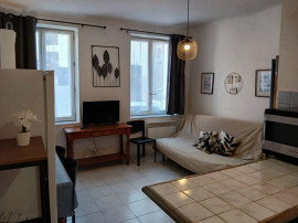 
                                                                                        Location
                                                                                         T2 calme jardin parking 750/ m prox fac Médecine