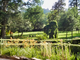 
                                                                                        Vente
                                                                                         TARN Château XIXème Hôtel Événementiel 3 HA