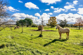 
                                                                                        Vente
                                                                                         TARN MANOIR XIXème CHAMBRES D'HOTES 2,6 HA