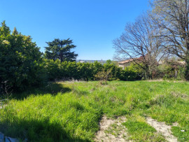 
                                                                                        Vente
                                                                                         Terrain