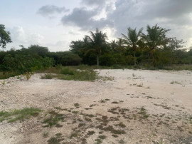 
                                                                        Vente
                                                                         Terrain a batir
