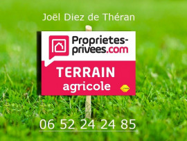 
                                                                        Vente
                                                                         terrain agricole 2ha