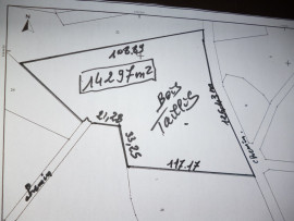 
                                                                        Vente
                                                                         terrain (bois/taillis)