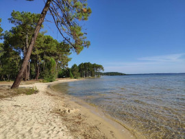 
                                                                                        Vente
                                                                                         Terrain constructible à PARENTIS en BORN