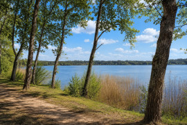 
                                                                        Vente
                                                                         Terrain constructible à Sanguinet