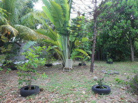 
                                                                                        Vente
                                                                                         TERRAIN CONSTRUCTIBLE POUR PROMOTION 4 APPARTMTS