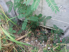 
                                                                                        Vente
                                                                                         TERRAIN CONSTRUCTIBLE POUR PROMOTION 4 APPARTMTS