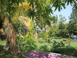 
                                                                                        Vente
                                                                                         TERRAIN CONSTRUCTIBLE POUR PROMOTION 4 APPARTMTS