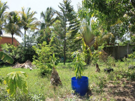 
                                                                                        Vente
                                                                                         TERRAIN CONSTRUCTIBLE POUR PROMOTION 4 APPARTMTS