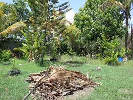 
                                                                                        Vente
                                                                                         TERRAIN CONSTRUCTIBLE POUR PROMOTION 4 APPARTMTS