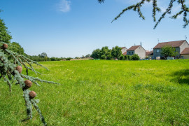 
                                                                                        Vente
                                                                                         Terrain de 10 287 m² à Chalon-sur-Saône