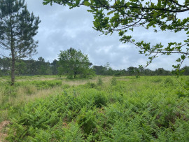 Vente
                                                                                Terrain disponible