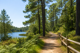 
                                                                                        Vente
                                                                                         Terrain et Construction à MIMIZAN