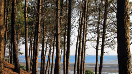 
                                                                                        Vente
                                                                                         Terrain Le Porge