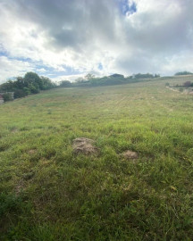 
                                                                        Vente
                                                                         terrain viabilisé de 1094 m² à 15 min d'Auxerre