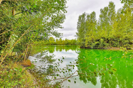 Vente
TOULOUSE CHATEAU XVIIIème 6 HA LAC