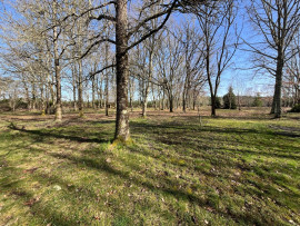 
                                                                                        Viager
                                                                                         <viager occupé à Lerm et Musset