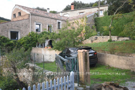 
                                                                                        Vente
                                                                                         Vigneronne