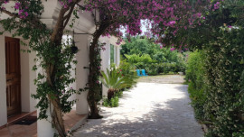 
                                                                                        Vente
                                                                                         Villa de 1994 avec de belles prestations