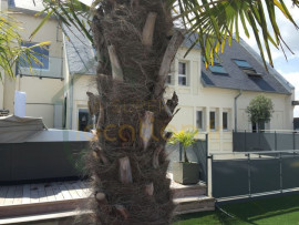 Vente
Villa exceptionnelle sur le toit d'un immeuble de standing.