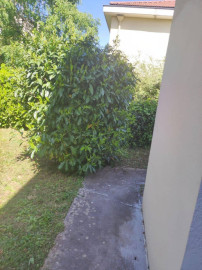 
                                                                                        Colocation
                                                                                         Villa "Pépites" Lyon 8 Grand Jardin