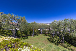 
                                                                                        Location
                                                                                         .