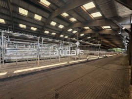 
                                                                                        Vente
                                                                                         10 minutes de SAINT LO, centre Manche