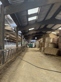 
                                                                                        Vente
                                                                                         10 minutes de SAINT LO, centre Manche