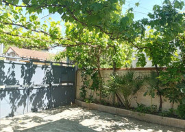 
                                                                                        Colocation
                                                                                         3 belles chambres disponibles dans maison 110m²