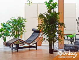 
                                                                                        Vente
                                                                                         4P au grand volume dans un environnement verdoyant