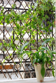 Location
67m charming apartment in Montmartre Area (2 bedrooms & Living room) (loyer tout inclus)