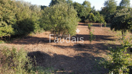 
                                                                                        Vente
                                                                                         A 10mn de SAINT-LO - en campagne