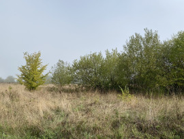 
                                                                                        Vente
                                                                                         À vendre ou à louer – Bâtiment industriel de 1 200 m² à Bléneau – Yonne (89)