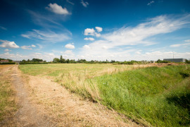 
                                                                                        Vente
                                                                                         À vendre – Terrain industriel de 10 000 m² à Champrond-en-Gâtine – Eure-et-Loir (28)