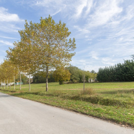 
                                                                                        Vente
                                                                                         À vendre - terrains divisibles de 7 000 m² à Drevant, proche de Bourges (18)