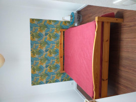 
                                                                                        Location
                                                                                         Appart/maisonnette sous pin parasol très calme