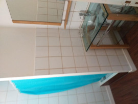 
                                                                                        Location
                                                                                         Appart/maisonnette sous pin parasol très calme