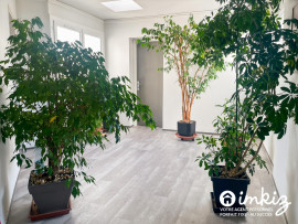 Vente
                                                                                Appartement 2 pièces