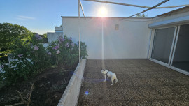 
                                                                                        Vente
                                                                                         APPARTEMENT 3 CHAMBRES AVEC TERRASSE DE 20 M² FACE AU PARC