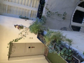 
                                                                                        Location
                                                                                         Appartement 3 p  97 m2  1 etage centre historique.