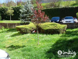 
                                                                                        Vente
                                                                                         Appartement 4 pièces vue sur la vierge