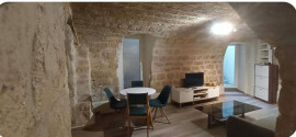 
                                                                                        Location
                                                                                         Appartement atypique de 35 M2 en entresol