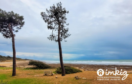 
                                                                                        Vente
                                                                                         Appartement F2 en Forêt , au bord de la mer