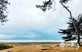 
                                                                                        Vente
                                                                                         Appartement F2 en Forêt , au bord de la mer