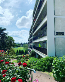 
                                                                                        Location
                                                                                         Appartement rénové proche centre ville