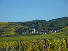 Location
Appartement romantic au coeur du vignoble (loyer tout inclus)
