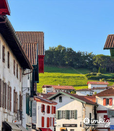 
                                                                                        Vente
                                                                                         Appartement T3 au calme  bourg hors surtourisme