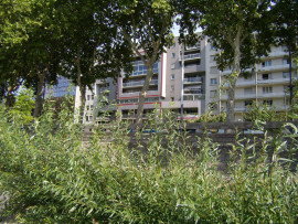 
                                                                                        Location
                                                                                         Apt T3 - Vue sur le Rhône