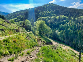 
                                                                                        Vente
                                                                                         ARDECHE PROPRIETE 6 HA SOURCES RIVIERE